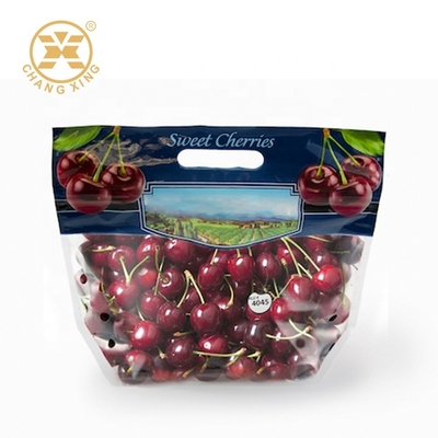 l'emballage sec de fruit de 100g 500g met en sac avec le trou Cherry Stand Up Pouches Eco frais amical